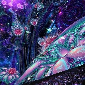 Meet your Posher, Brandy